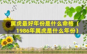 属虎最好年份是什么命格（1986年属虎是什么年份）