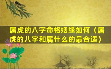 属虎的八字命格姻缘如何（属虎的八字和属什么的最合适）