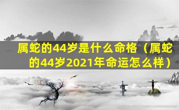 属蛇的44岁是什么命格（属蛇的44岁2021年命运怎么样）