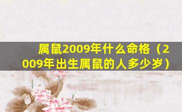 属鼠2009年什么命格（2009年出生属鼠的人多少岁）