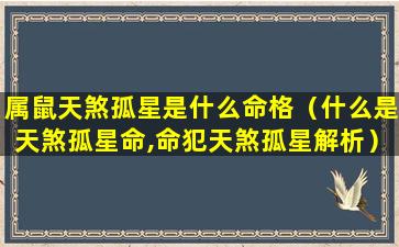 属鼠天煞孤星是什么命格（什么是天煞孤星命,命犯天煞孤星解析）