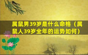 属鼠男39岁是什么命格（属鼠人39岁全年的运势如何）