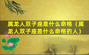 属龙人双子座是什么命格（属龙人双子座是什么命格的人）