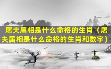 屠夫属相是什么命格的生肖（屠夫属相是什么命格的生肖和数字）