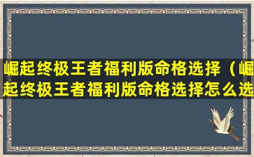 崛起终极王者福利版命格选择（崛起终极王者福利版命格选择怎么选）