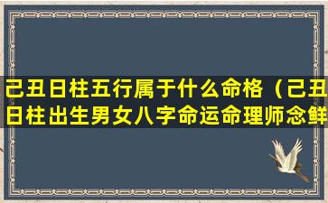 己丑日柱五行属于什么命格（己丑日柱出生男女八字命运命理师念鲜）