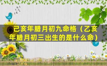 己亥年腊月初九命格（乙亥年腊月初三出生的是什么命）