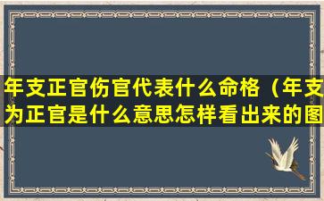 年支正官伤官代表什么命格（年支为正官是什么意思怎样看出来的图解）