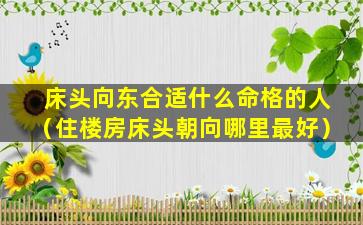 床头向东合适什么命格的人（住楼房床头朝向哪里最好）