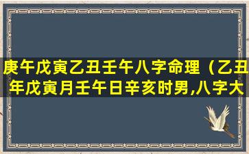 庚午戊寅乙丑壬午八字命理（乙丑年戊寅月壬午日辛亥时男,八字大运）