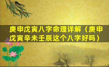 庚申戊寅八字命理详解（庚申戊寅辛未壬辰这个八字好吗）