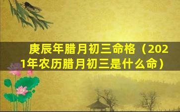 庚辰年腊月初三命格（2021年农历腊月初三是什么命）