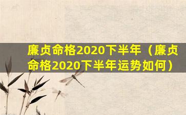 廉贞命格2020下半年（廉贞命格2020下半年运势如何）