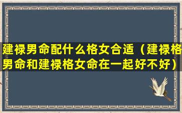 建禄男命配什么格女合适（建禄格男命和建禄格女命在一起好不好）