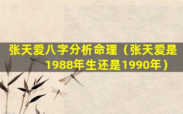 张天爱八字分析命理（张天爱是1988年生还是1990年）