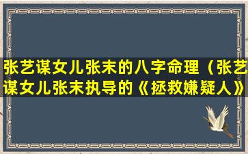 张艺谋女儿张末的八字命理（张艺谋女儿张末执导的《拯救嫌疑人》详解）