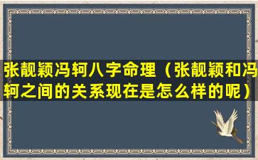 张靓颖冯轲八字命理（张靓颖和冯轲之间的关系现在是怎么样的呢）