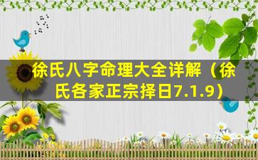 徐氏八字命理大全详解（徐氏各家正宗择日7.1.9）