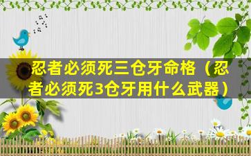 忍者必须死三仓牙命格（忍者必须死3仓牙用什么武器）