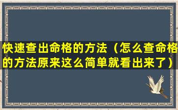 快速查出命格的方法（怎么查命格的方法原来这么简单就看出来了）