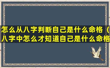 怎么从八字判断自己是什么命格（八字中怎么才知道自己是什么命格了）