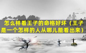 怎么样看王子的命格好坏（王子是一个怎样的人从哪儿能看出来）