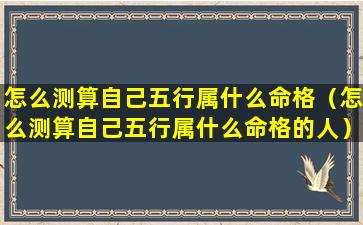 怎么测算自己五行属什么命格（怎么测算自己五行属什么命格的人）