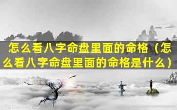 怎么看八字命盘里面的命格（怎么看八字命盘里面的命格是什么）