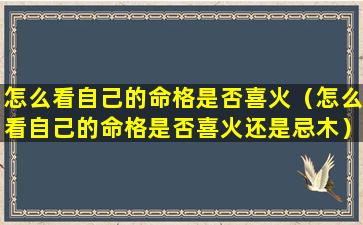 怎么看自己的命格是否喜火（怎么看自己的命格是否喜火还是忌木）