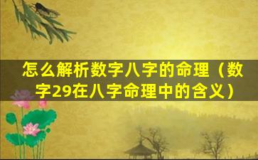 怎么解析数字八字的命理（数字29在八字命理中的含义）