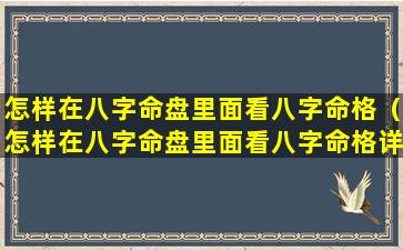 怎样在八字命盘里面看八字命格（怎样在八字命盘里面看八字命格详解）