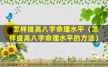 怎样提高八字命理水平（怎样提高八字命理水平的方法）