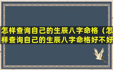 怎样查询自己的生辰八字命格（怎样查询自己的生辰八字命格好不好）