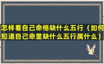 怎样看自己命格缺什么五行（如何知道自己命里缺什么五行属什么）