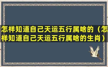 怎样知道自己天运五行属啥的（怎样知道自己天运五行属啥的生肖）