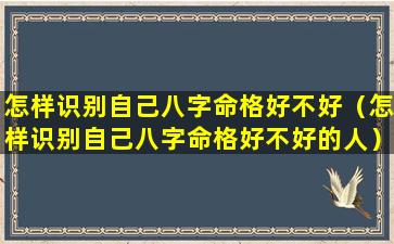 怎样识别自己八字命格好不好（怎样识别自己八字命格好不好的人）