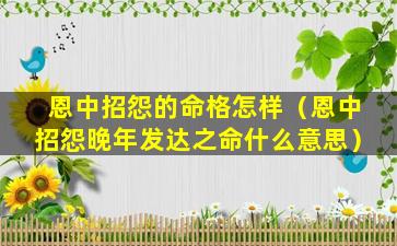 恩中招怨的命格怎样（恩中招怨晚年发达之命什么意思）