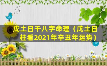 戊土日干八字命理（戊土日柱看2021年辛丑年运势）