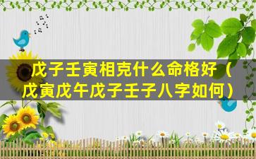 戊子壬寅相克什么命格好（戊寅戊午戊子壬子八字如何）