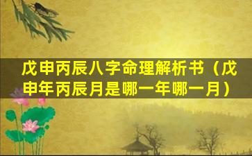 戊申丙辰八字命理解析书（戊申年丙辰月是哪一年哪一月）