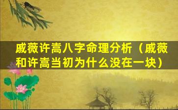 戚薇许嵩八字命理分析（戚薇和许嵩当初为什么没在一块）