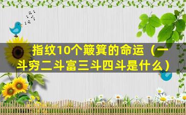 指纹10个簸箕的命运（一斗穷二斗富三斗四斗是什么）