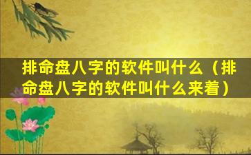 排命盘八字的软件叫什么（排命盘八字的软件叫什么来着）