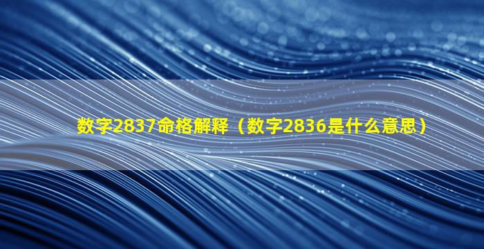 数字2837命格解释（数字2836是什么意思）