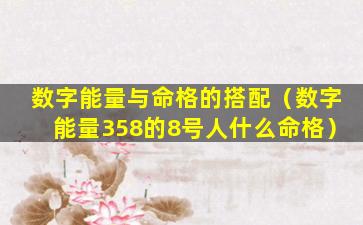 数字能量与命格的搭配（数字能量358的8号人什么命格）