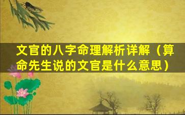 文官的八字命理解析详解（算命先生说的文官是什么意思）