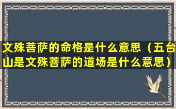 文殊菩萨的命格是什么意思（五台山是文殊菩萨的道场是什么意思）