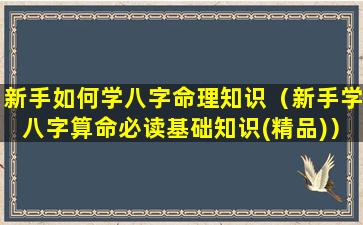 新手如何学八字命理知识（新手学八字算命必读基础知识(精品)）