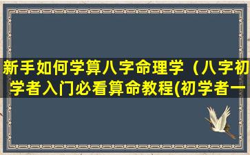 新手如何学算八字命理学（八字初学者入门必看算命教程(初学者一定要看!)）