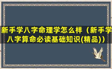 新手学八字命理学怎么样（新手学八字算命必读基础知识(精品)）